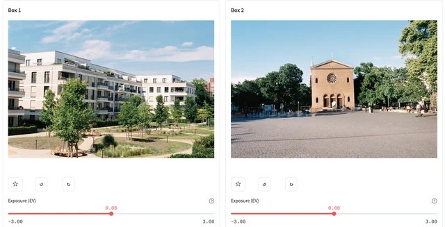 Photographs arranged side by side in the lab’s visual comparison workspace